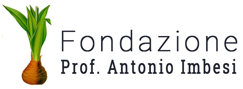 Fondazione prof. Antonio Imbesi